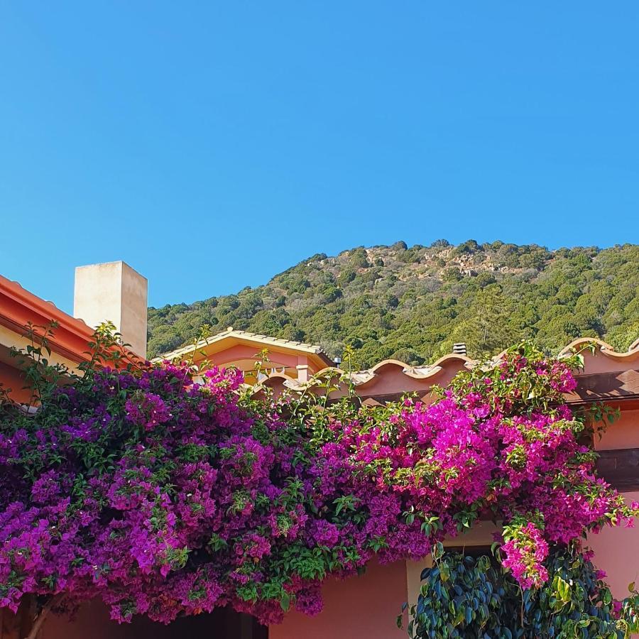B&B La Vela شيا المظهر الخارجي الصورة